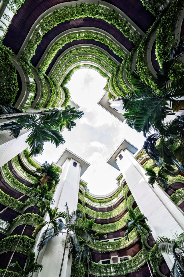 A conversation about the benefits of biophilic design | WATG